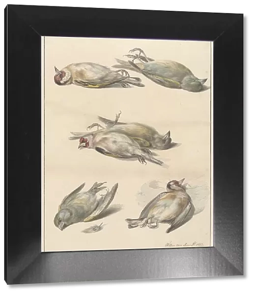 Six dead birds, 1803. Creator: Willem van Leen