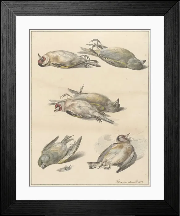 Framed Print : Six dead birds, 1803. Creator: Willem van Leen Framed Print : Six dead birds, 1803. Creator: Willem van Leen