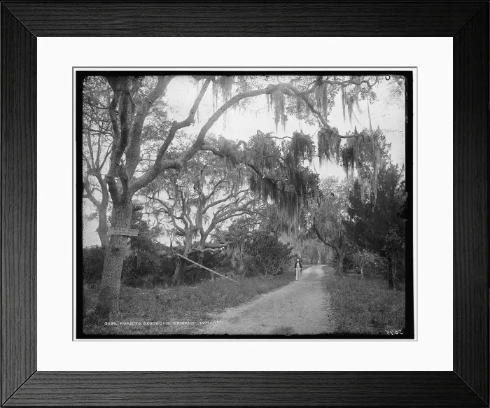 Framed Print : Road to Bostrom's, Ormond, between 1880 and 1897. Creator: William H. Jackson Framed Print : Road to Bostrom's, Ormond, between 1880 and 1897. Creator: William H. Jackson