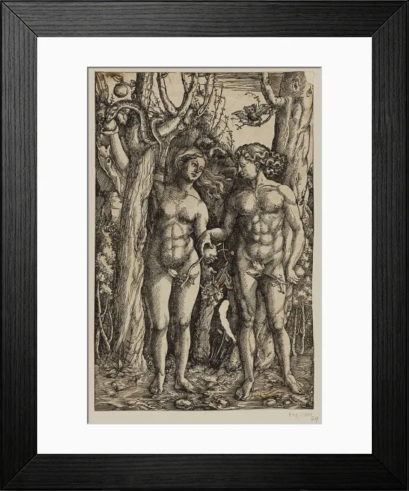 Framed Print : Adam and Eve. Creator: Albrecht Durer Framed Print : Adam and Eve. Creator: Albrecht Durer