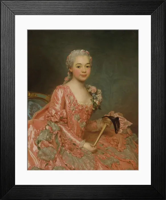 Framed Print : Baroness de Neubourg-Cromière, 1756. Creator: Alexander Roslin Framed Print : Baroness de Neubourg-Cromière, 1756. Creator: Alexander Roslin