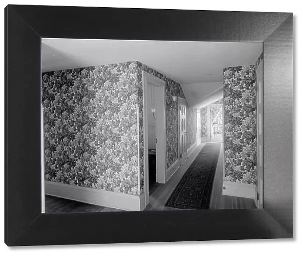 Hall with floral wallpaper, probably in a clubhouse, New York City, between 1900 and 1910. Creator: William H. Jackson