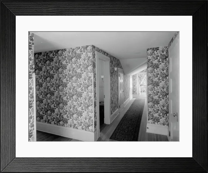 Framed Print : Hall with floral wallpaper, probably in a clubhouse, New York City, between 1900 and 1910. Creator: William H. Jackson Framed Print : Hall with floral wallpaper, probably in a clubhouse, New York City, between 1900 and 1910. Creator: William H. Jackson