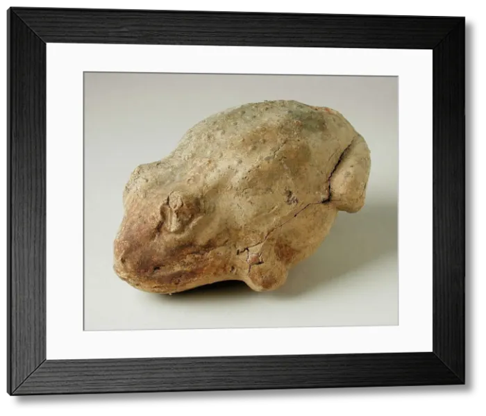 Framed Print : Frog, 3rd-7th century CE. Creator: Unknown Framed Print : Frog, 3rd-7th century CE. Creator: Unknown