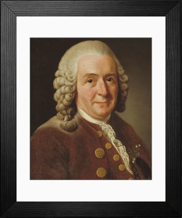 Framed Print : Carl von Linné, 1707-1778, botanist, professor, 1775. Creator: Alexander Roslin Framed Print : Carl von Linné, 1707-1778, botanist, professor, 1775. Creator: Alexander Roslin