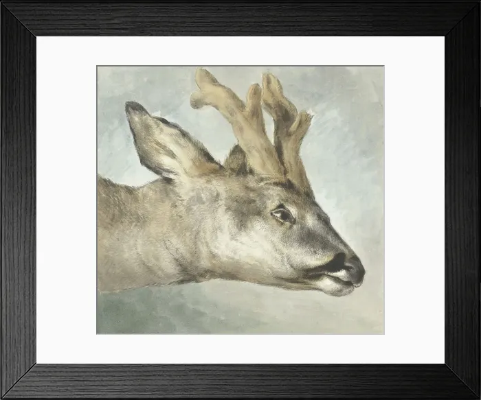 Framed Print : Head of a Roebuck, c.1800. Creator: Wybrand Hendriks Framed Print : Head of a Roebuck, c.1800. Creator: Wybrand Hendriks