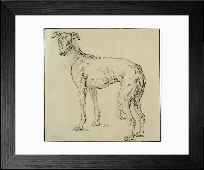 Framed Print : Greyhound. Creator: Abraham Bloemaert Framed Print : Greyhound. Creator: Abraham Bloemaert