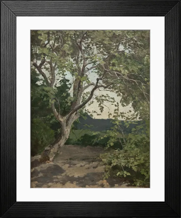 Framed Print : A Tree. Study, late 19th century. Creator: Anna Nordlander Framed Print : A Tree. Study, late 19th century. Creator: Anna Nordlander