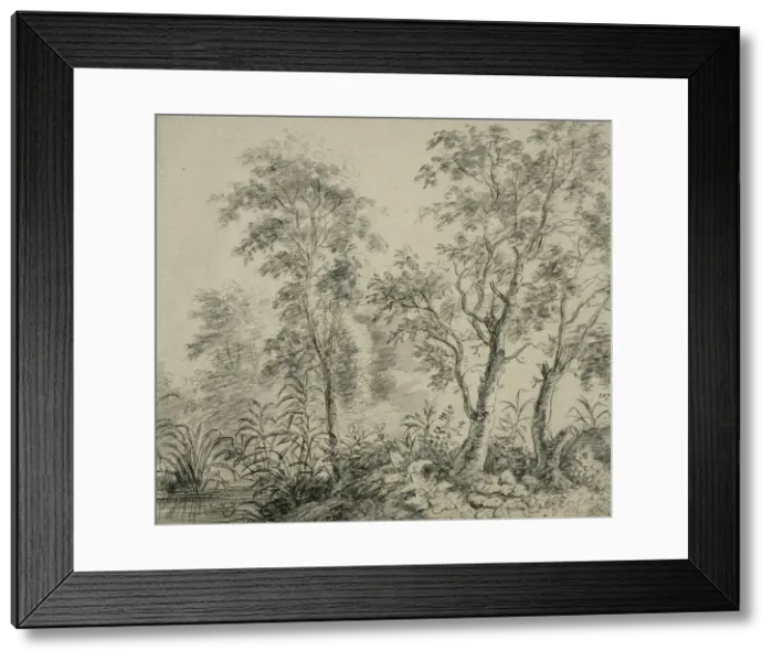 Framed Print : River bank with a row of trees. Creator: Anthonie Waterloo Framed Print : River bank with a row of trees. Creator: Anthonie Waterloo