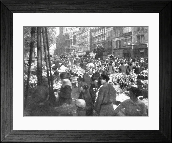 Framed Print : Paris pendant la Bataille de Paris'; aux Halles: les fleurs, 1918. Creator: Unknown. Paris pendant la Bataille de Paris'; aux Halles: les fleurs, 1918. Creator: Unknown Framed Print : Paris pendant la Bataille de Paris'; aux Halles: les fleurs, 1918. Creator: Unknown. Paris pendant la Bataille de Paris'; aux Halles: les fleurs, 1918. Creator: Unknown