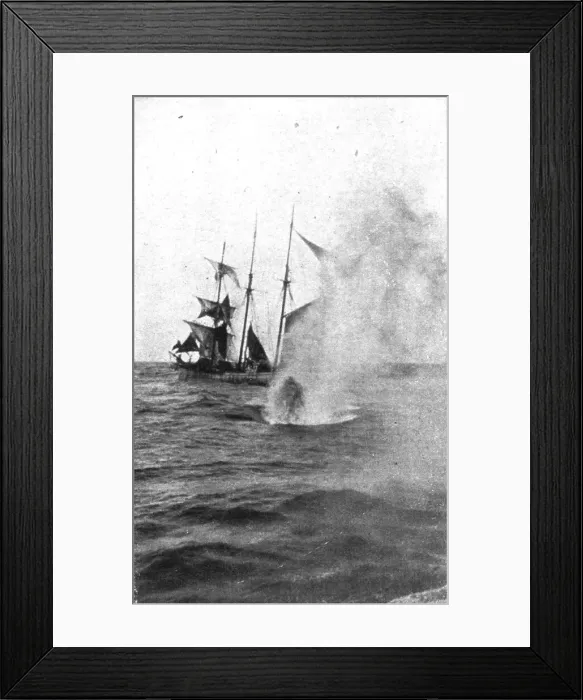 Framed Print : Les sous-marins allemands a l'Oeuvre; Un coup trop court, 1918. Creator: Unknown Framed Print : Les sous-marins allemands a l'Oeuvre; Un coup trop court, 1918. Creator: Unknown