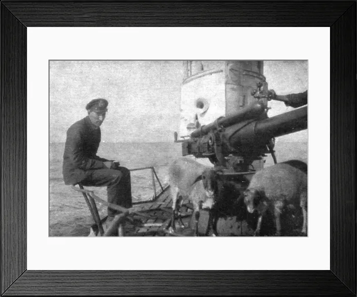 Framed Print : A bord des sous-marins allemands; Ravitaillement en viande fraiche: deux moutons provenant... 1918 Creator: Unknown Framed Print : A bord des sous-marins allemands; Ravitaillement en viande fraiche: deux moutons provenant... 1918 Creator: Unknown