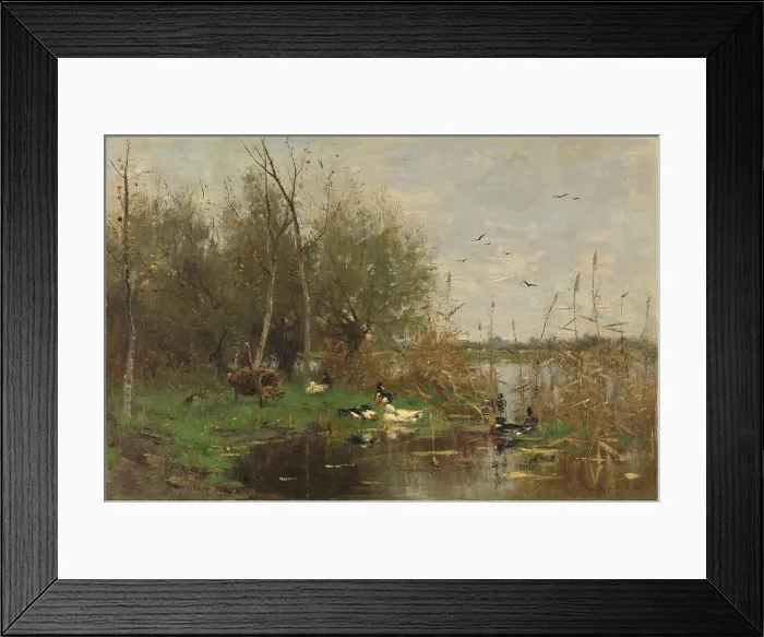 Framed Print : Ducks beside a duck shelter on a ditch, 1884. Creator: George Poggenbeek Framed Print : Ducks beside a duck shelter on a ditch, 1884. Creator: George Poggenbeek