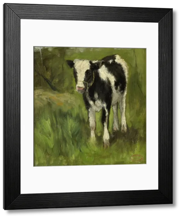 Framed Print : Calf, spotted black and white, c.1873-c.1903. Creator: George Poggenbeek Framed Print : Calf, spotted black and white, c.1873-c.1903. Creator: George Poggenbeek