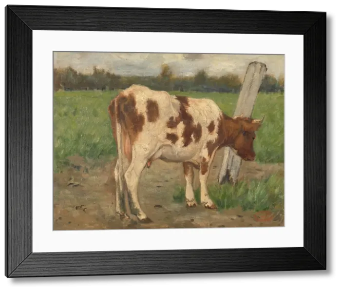 Framed Print : Cow, c.1873-c.1903. Creator: George Poggenbeek Framed Print : Cow, c.1873-c.1903. Creator: George Poggenbeek