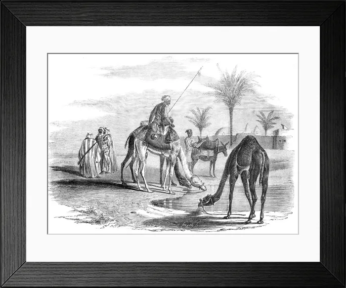 Framed Print : Grand Cairo to Gaza - Village on the Borders of the Desert, 1857. Creator: Smyth Framed Print : Grand Cairo to Gaza - Village on the Borders of the Desert, 1857. Creator: Smyth