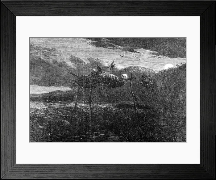 Framed Print : Sketches in Australia - Aboriginal Mode of the Disposal of the Dead, 1857. Creator: Unknown Framed Print : Sketches in Australia - Aboriginal Mode of the Disposal of the Dead, 1857. Creator: Unknown