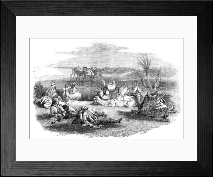 Framed Print : Camel-drivers Encampment in the Desert, 1857. Creator: Unknown Framed Print : Camel-drivers Encampment in the Desert, 1857. Creator: Unknown