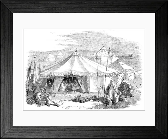 Framed Print : Travellers Encampment in the Desert, 1857. Creator: Unknown Framed Print : Travellers Encampment in the Desert, 1857. Creator: Unknown