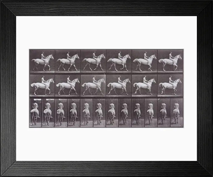 Framed Print : Animal Locomotion, Printed 1887. Creator: Eadweard J Muybridge