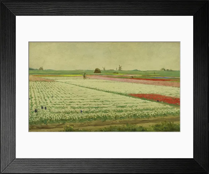 Framed Print : Tulip Fields, 1890-1922. Creator: Gerrit Willem Dijsselhof Framed Print : Tulip Fields, 1890-1922. Creator: Gerrit Willem Dijsselhof