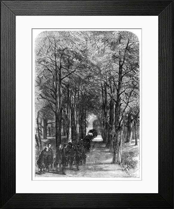 Framed Print : The Procession to the Mausoleum, 1857. Creator: Edmund Evans Framed Print : The Procession to the Mausoleum, 1857. Creator: Edmund Evans