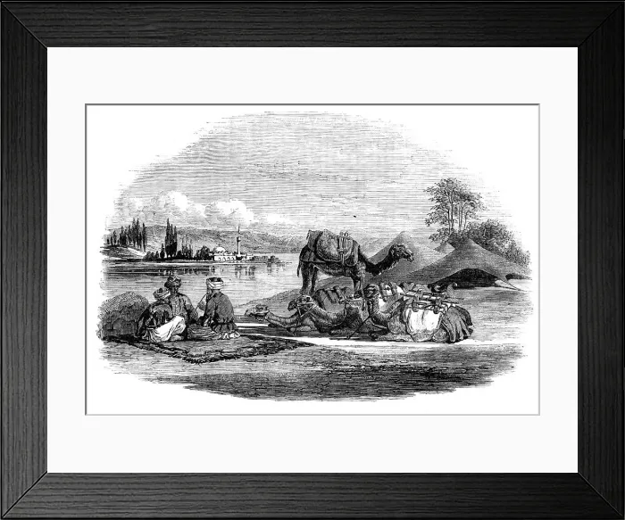 Framed Print : Halt by a Stream near El Arish, 1857. Creator: Unknown Framed Print : Halt by a Stream near El Arish, 1857. Creator: Unknown