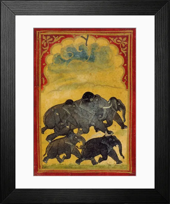 Framed Print : Five Galloping Elephants, Number Six of the Gajpati (Lord of Elephants)... 19th century. Creator: Unknown Framed Print : Five Galloping Elephants, Number Six of the Gajpati (Lord of Elephants)... 19th century. Creator: Unknown