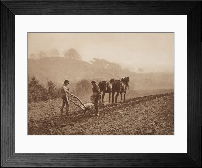 Framed Print : Dinnertime, between 1889 and 1891. Creator: Frank Meadow Sutcliffe Framed Print : Dinnertime, between 1889 and 1891. Creator: Frank Meadow Sutcliffe