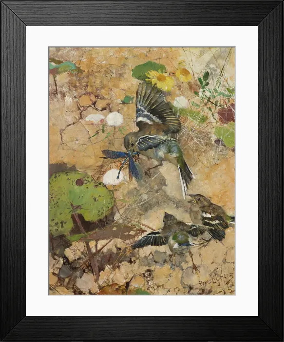 Framed Print : Chaffinches and Dragonflies. Five studies in one frame, 1885. Creator: Bruno Liljefors Framed Print : Chaffinches and Dragonflies. Five studies in one frame, 1885. Creator: Bruno Liljefors