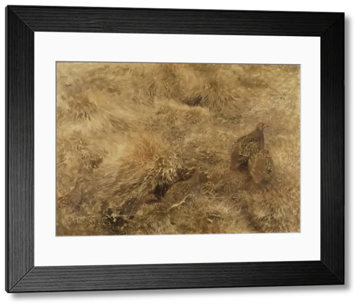 Framed Print : Autumn Landscape with Partridges, 1913. Creator: Bruno Liljefors Framed Print : Autumn Landscape with Partridges, 1913. Creator: Bruno Liljefors