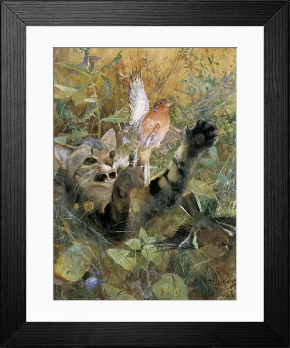 Framed Print : A Cat and a Chaffinch. Five animal studies in one frame, 1885. Creator: Bruno Liljefors Framed Print : A Cat and a Chaffinch. Five animal studies in one frame, 1885. Creator: Bruno Liljefors