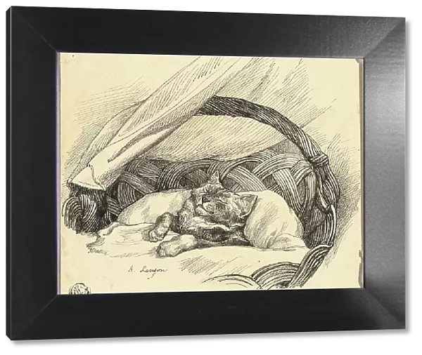 Cat Asleep in Basket, n.d. Creator: Auguste-Andre Lancon