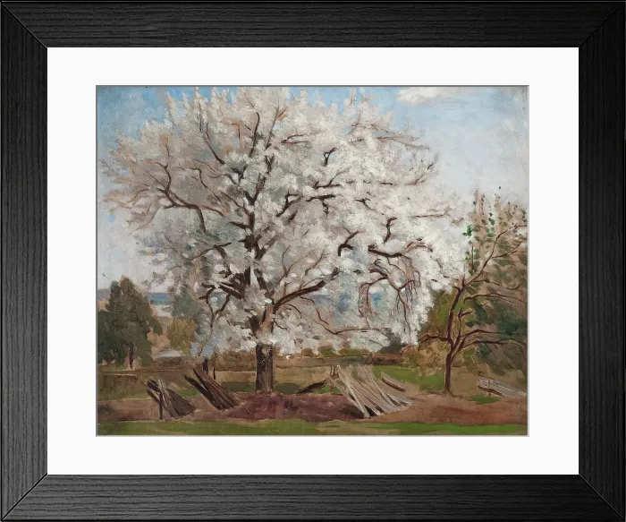 Framed Print : Apple Tree in Blossom, 1877. Creator: Carl Fredrik Hill Framed Print : Apple Tree in Blossom, 1877. Creator: Carl Fredrik Hill