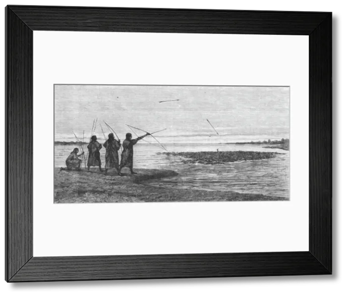 Framed Print : Turtle Shooting; The Fresh-water Turtle of the Amazons, 1875. Creator: Unknown