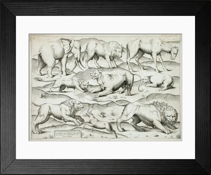 Framed Print : Sheet of Animals, 1547. Creators: Antonio Lafreri, Enea Vico Framed Print : Sheet of Animals, 1547. Creators: Antonio Lafreri, Enea Vico
