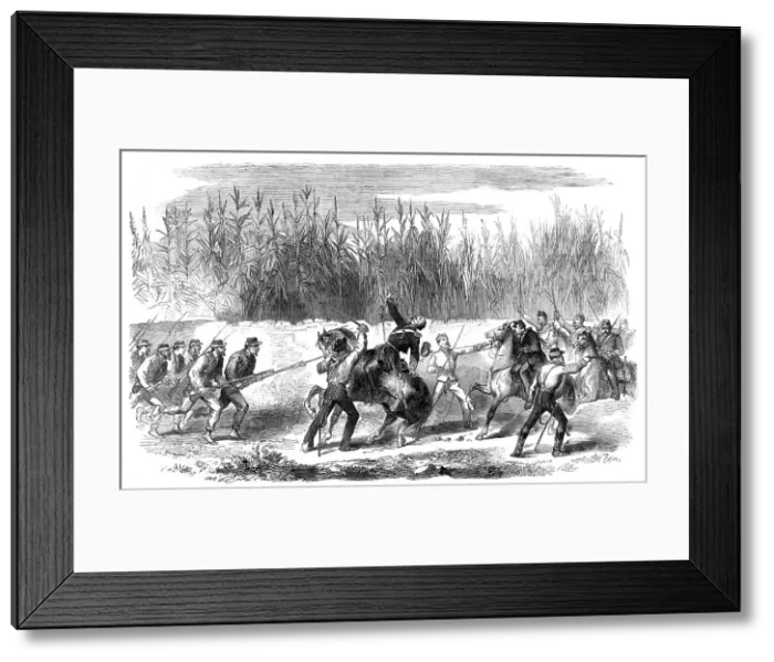 Framed Print : The Revolution in Sicily - Garibaldi cutting down the captain of the Neapolitan cavalry... 1860. Creator: Unknown Framed Print : The Revolution in Sicily - Garibaldi cutting down the captain of the Neapolitan cavalry... 1860. Creator: Unknown