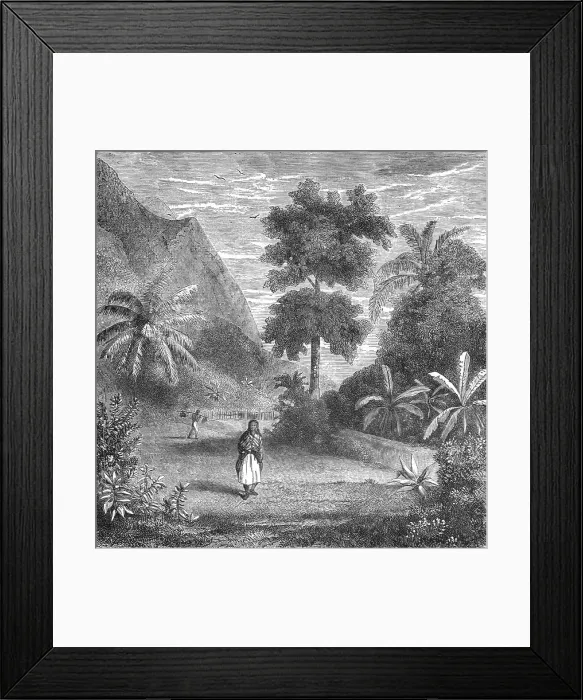 Framed Print : Vegetation of Tahiti; Speculations concerning Former Southern Geographies, 1875. Creator: Unknown Framed Print : Vegetation of Tahiti; Speculations concerning Former Southern Geographies, 1875. Creator: Unknown