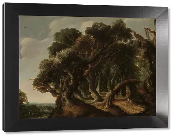 Wooded Landscape, c.1633. Creator: Jacob Jacobsz. Van Geel