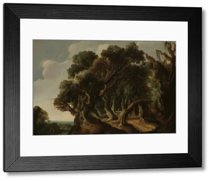 Framed Print : Wooded Landscape, c.1633. Creator: Jacob Jacobsz. Van Geel Framed Print : Wooded Landscape, c.1633. Creator: Jacob Jacobsz. Van Geel