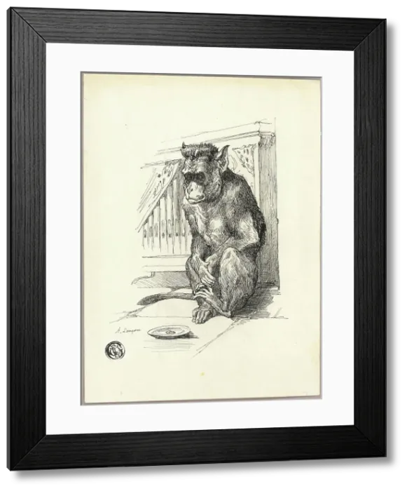 Framed Print : Begging Monkey, n.d. Creator: Auguste-Andre Lancon Framed Print : Begging Monkey, n.d. Creator: Auguste-Andre Lancon