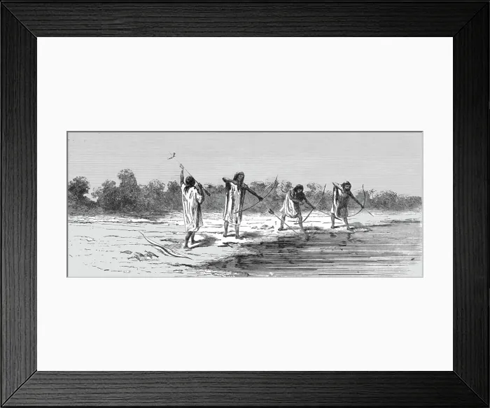 Framed Print : Indians Shooting Fish; The Fresh-water Turtle of the Amazons, 1875. Creator: Unknown Framed Print : Indians Shooting Fish; The Fresh-water Turtle of the Amazons, 1875. Creator: Unknown