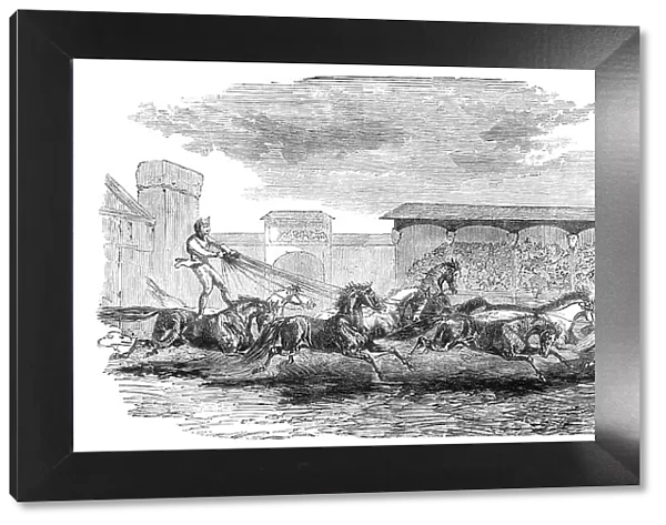 The Paris Hippodrome: seventeen horses driven by M. Marin, 1860. Creator: Harrison Weir