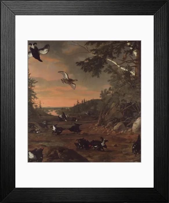Framed Print : Black Cocks at Ground, 1675. Creator: David Klocker Ehrenstrahl Framed Print : Black Cocks at Ground, 1675. Creator: David Klocker Ehrenstrahl