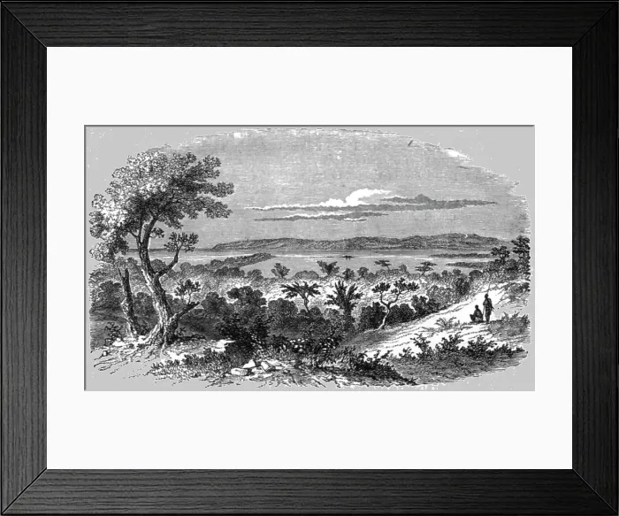 Framed Print : View near Durban; A Few Words about Natal and Zululand, 1875. Creator: Unknown Framed Print : View near Durban; A Few Words about Natal and Zululand, 1875. Creator: Unknown