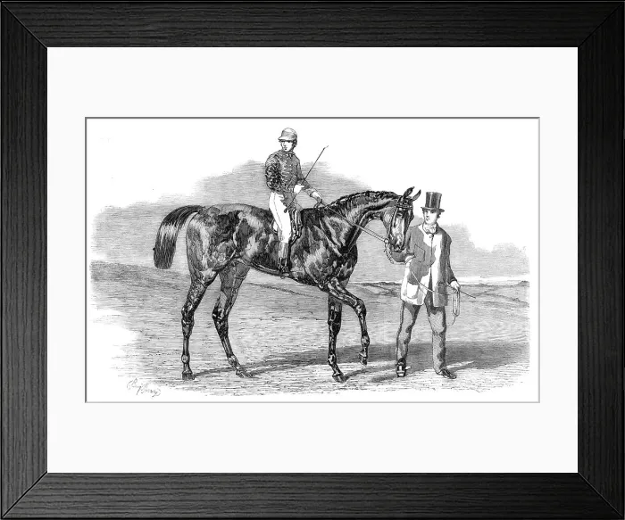 Framed Print : Sweetsauce, the winner of the Stewards and the Goodwood Cups, 1860. Creator: Unknown Framed Print : Sweetsauce, the winner of the Stewards and the Goodwood Cups, 1860. Creator: Unknown