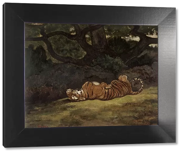 Tiger Rolling, c1850-1869. Creator: Antoine-Louis Barye