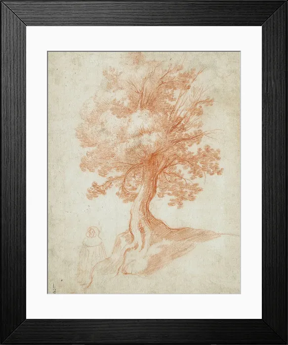 Framed Print : Study of a Tree, between circa 1610 and circa 1620. Creator: Cristofano Allori Framed Print : Study of a Tree, between circa 1610 and circa 1620. Creator: Cristofano Allori
