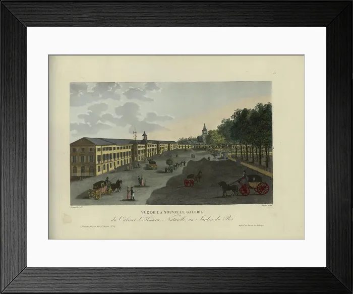 Framed Print : Vue de la nouvelle galerie du Cabinet d'histoire naturelle, au Jardin du roi, 1817-1824. Creator: Courvoisier-Voisin, Henri (1757-1830) Framed Print : Vue de la nouvelle galerie du Cabinet d'histoire naturelle, au Jardin du roi, 1817-1824. Creator: Courvoisier-Voisin, Henri (1757-1830)