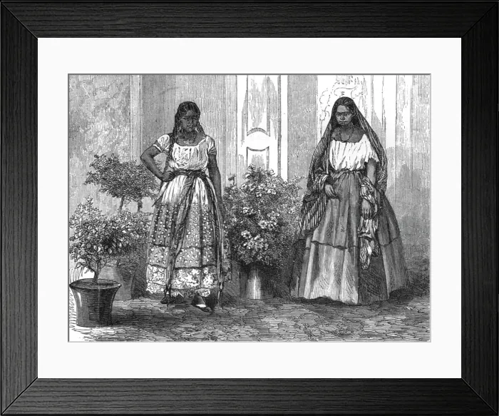 Framed Print : A Mexican Courtyard (Patio); A Zigzag Journey through Mexico, 1875. Creator: Unknown Framed Print : A Mexican Courtyard (Patio); A Zigzag Journey through Mexico, 1875. Creator: Unknown